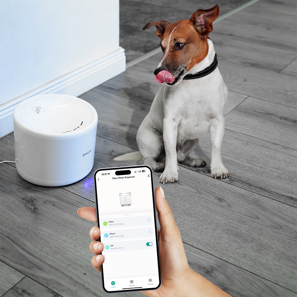 smart wifi pet water dispenser 2l white TELLUR